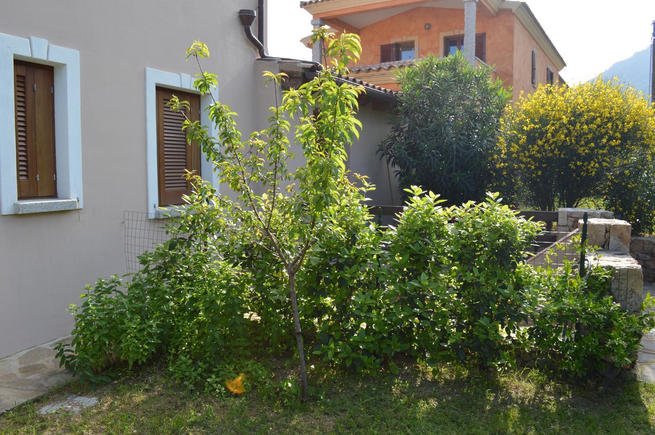 Guest Rooms Affittacamere San Teodoro  Exterior photo